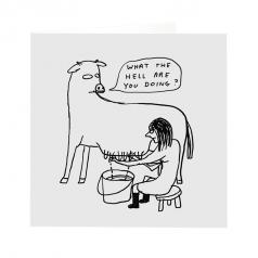 What the hell David Shrigley