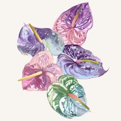Fine Art Meets Flowers S